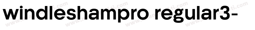 windleshampro regular3字体转换
